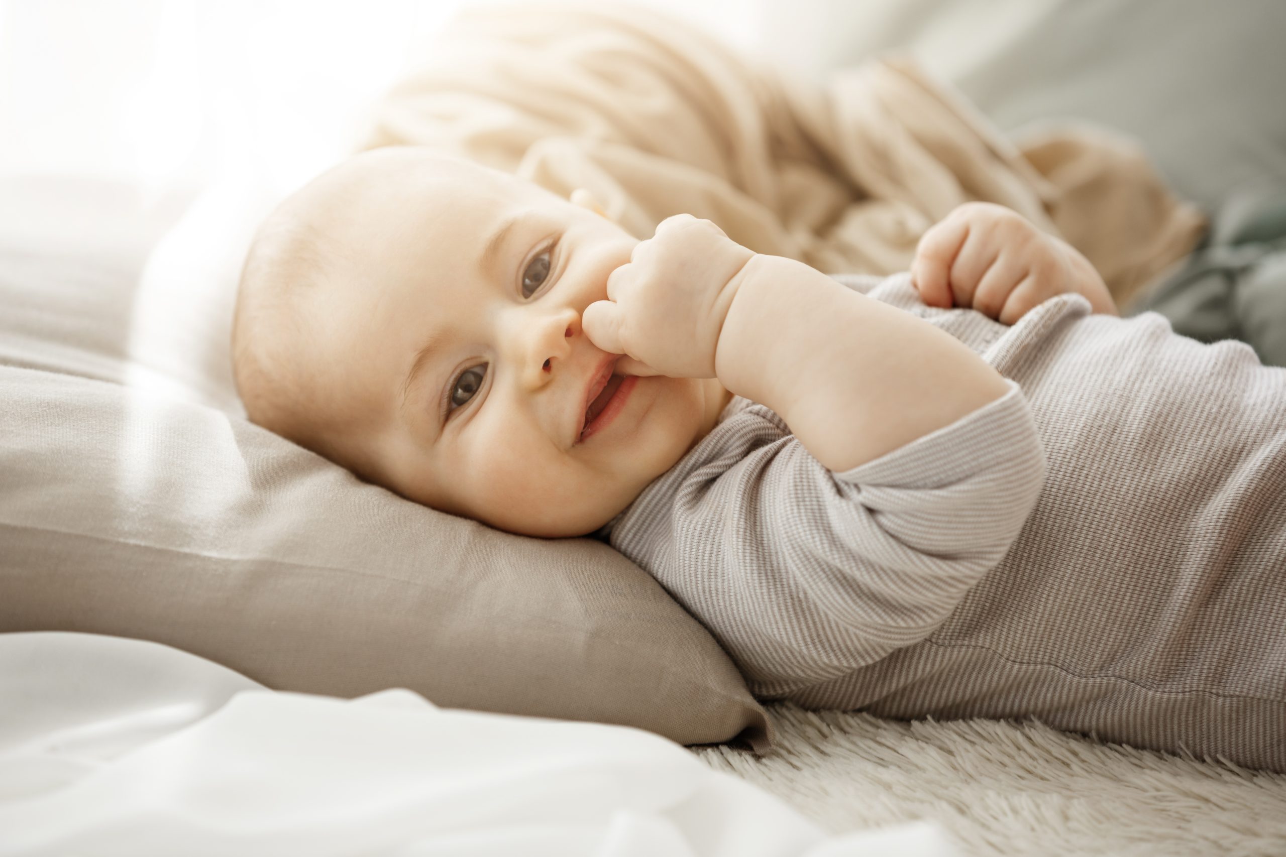 Babywaybe bebek mendili
